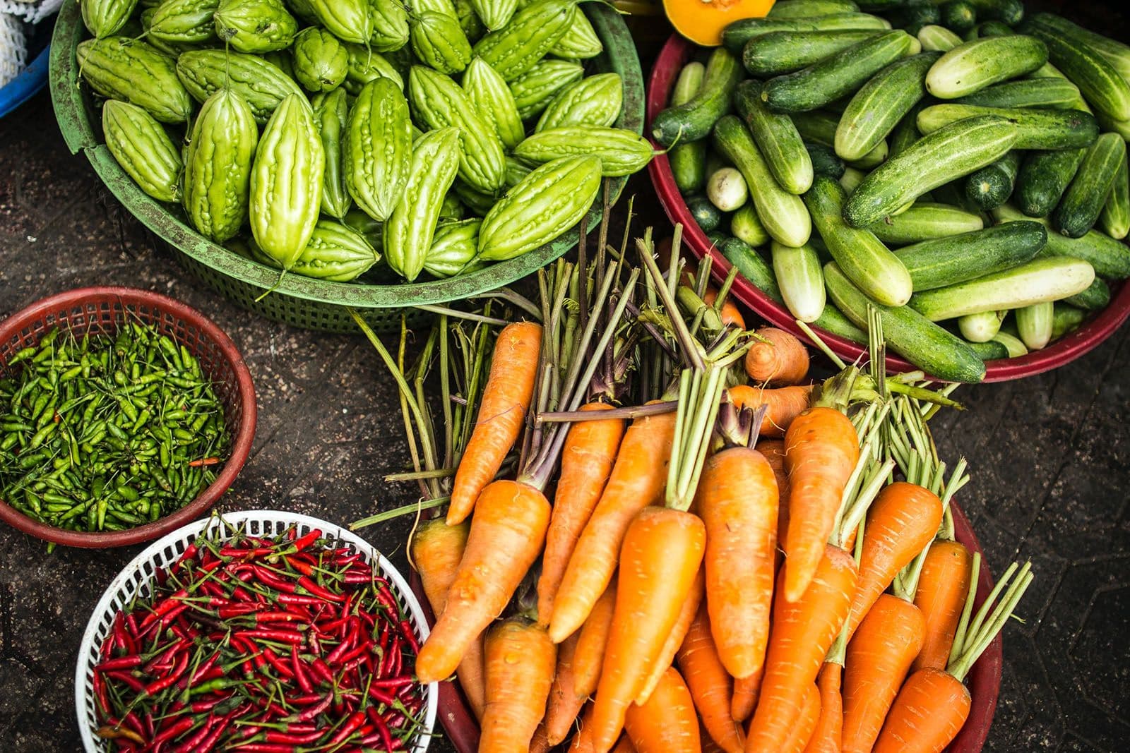Cover Image for 10 Simple Steps to Start Living a More Sustainable Lifestyle